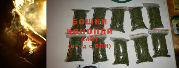 тгк Арсеньев