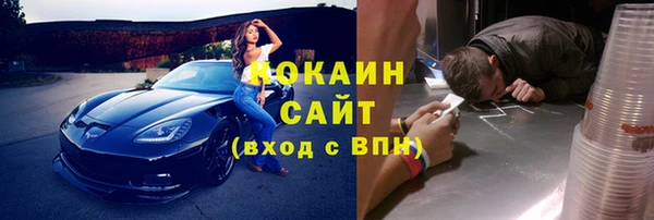 тгк Арсеньев