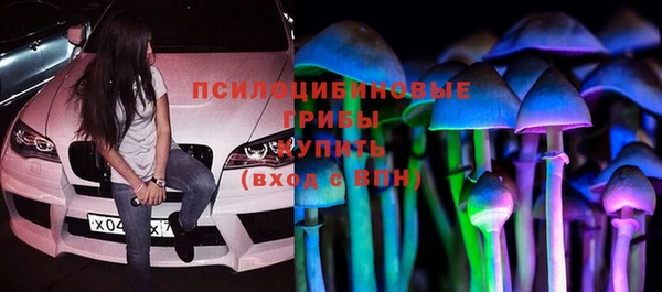 тгк Арсеньев