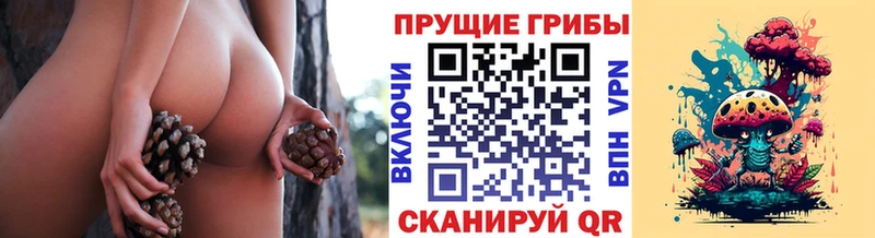 Галлюциногенные грибы мицелий  Любань 